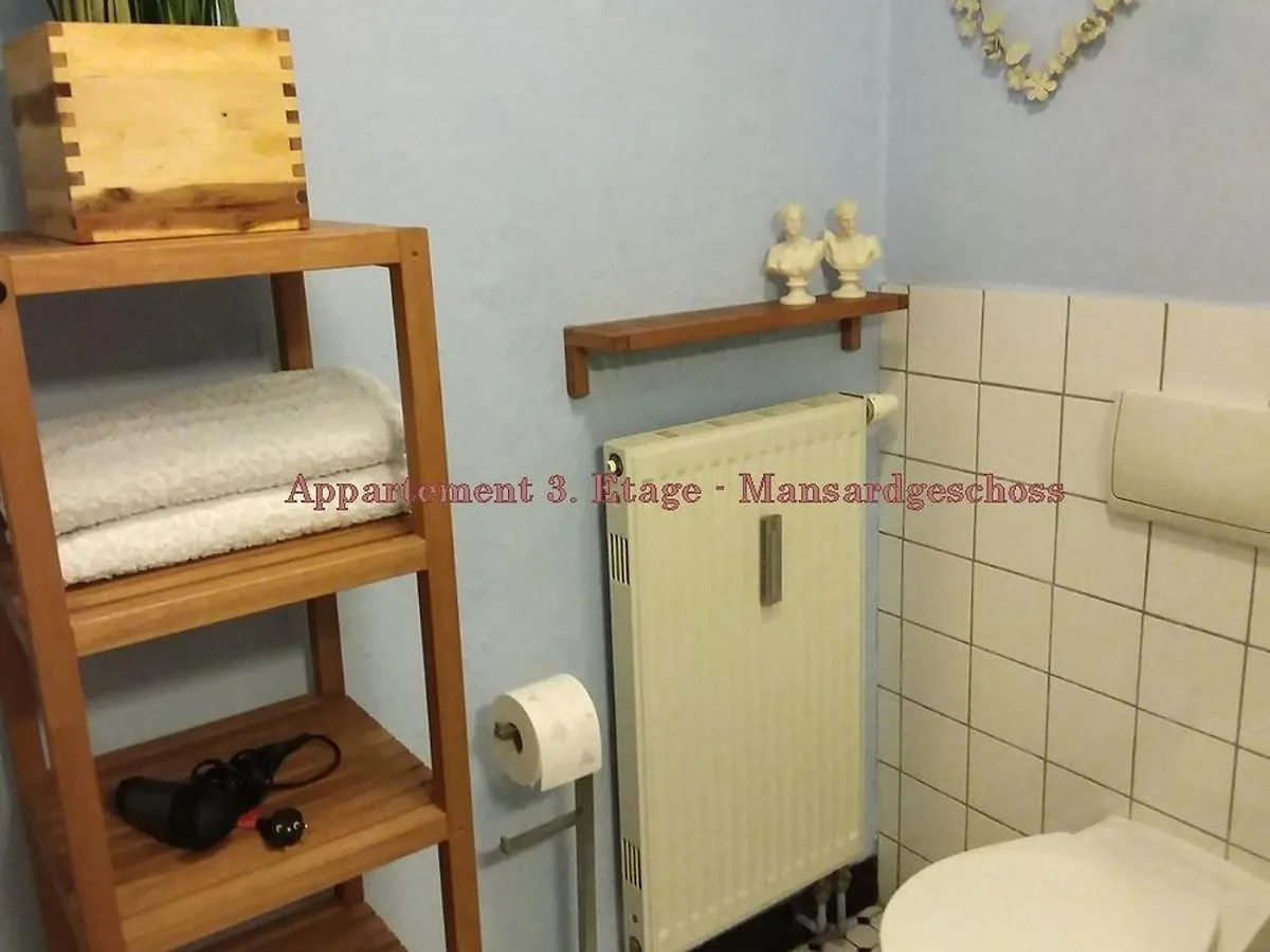 Apartment City-Ferienwohnungen-Dresden&Cottage im Garten - zentral in der Neustadt Louisenstrasse