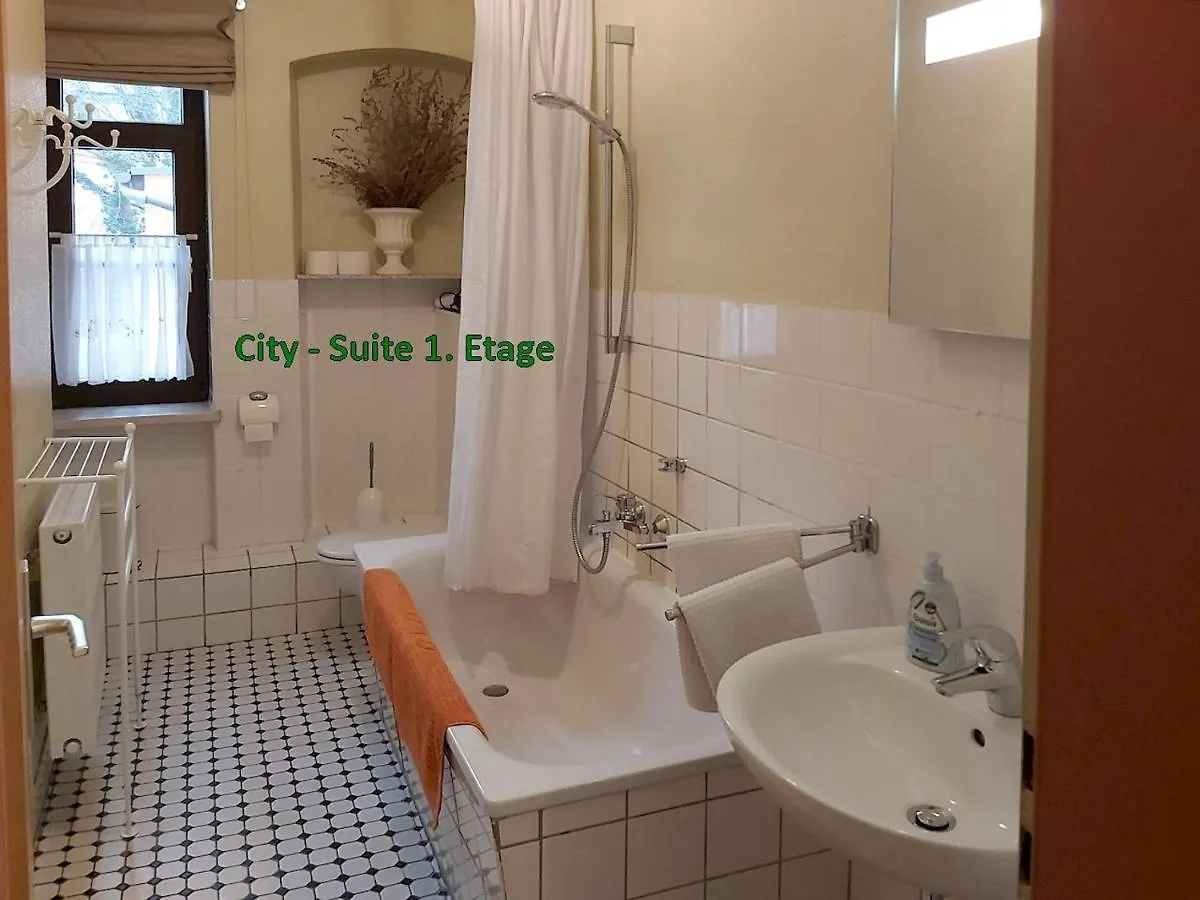 City-Ferienwohnungen-Dresden&Cottage im Garten - zentral in der Neustadt Louisenstrasse Apartment Dresden