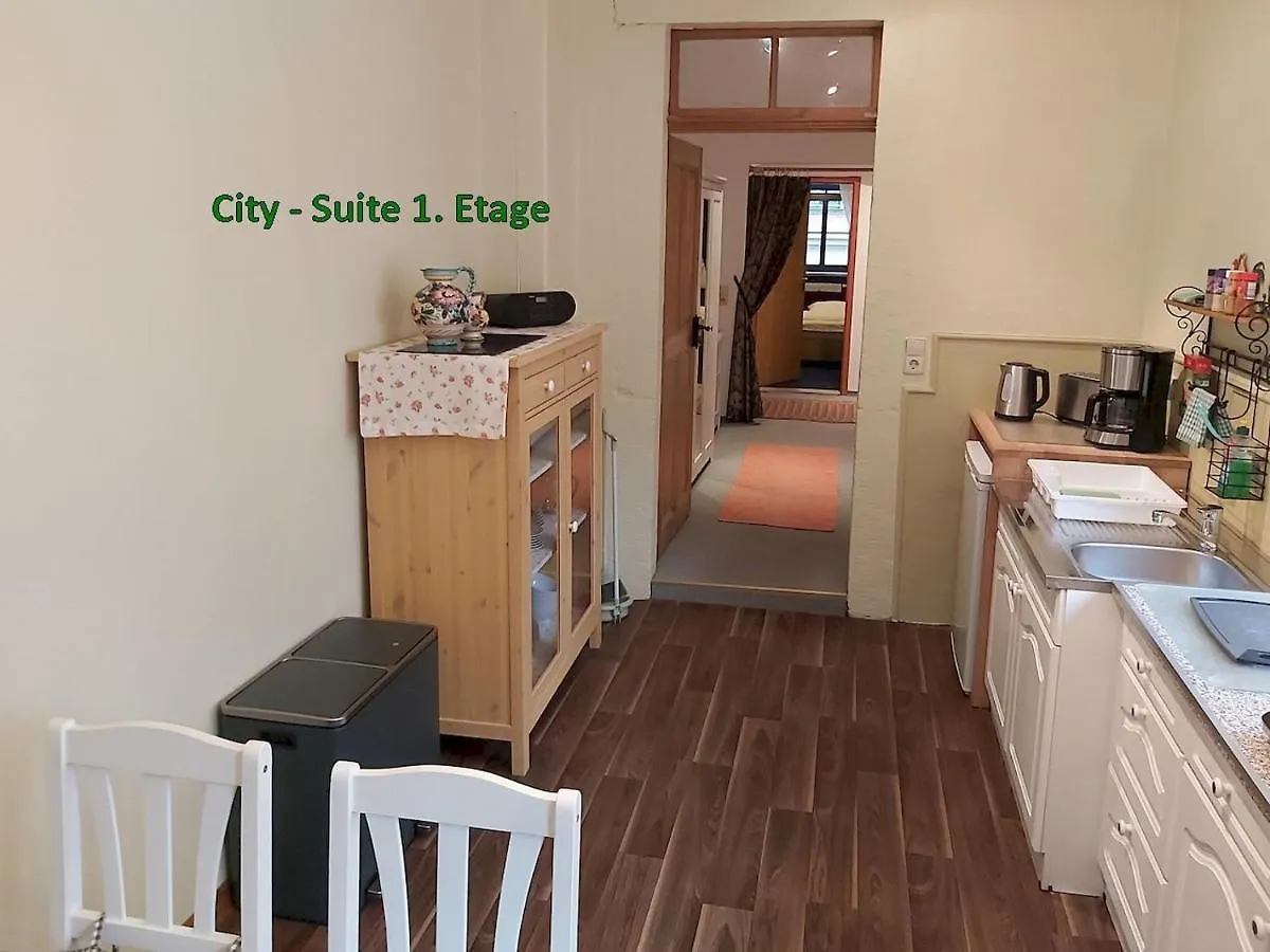 Apartment City-Ferienwohnungen-Dresden&Cottage im Garten - zentral in der Neustadt Louisenstrasse Deutschland