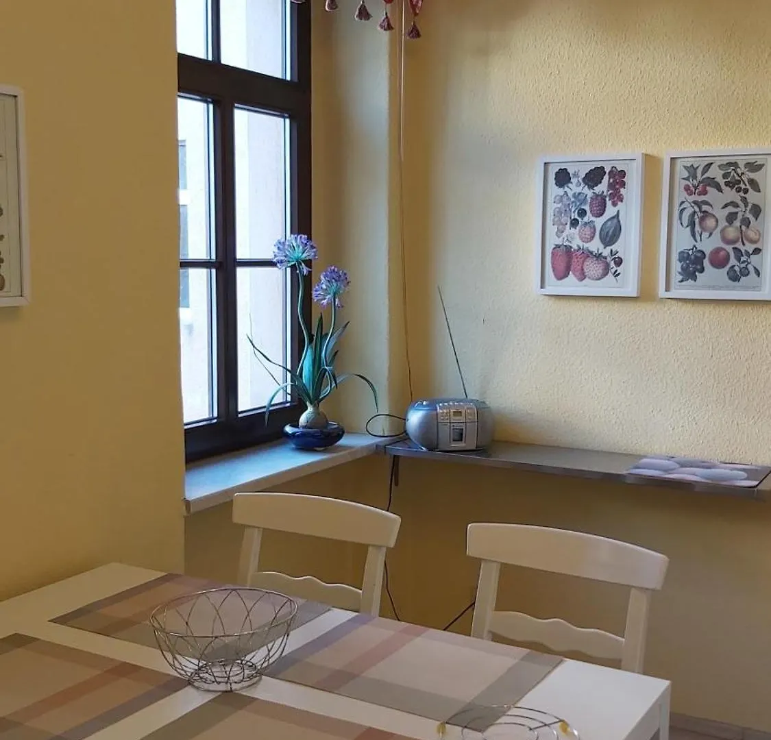 Apartment City-Ferienwohnungen-Dresden&Cottage im Garten - zentral in der Neustadt Louisenstrasse